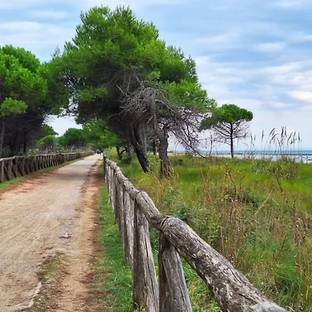 The Perfect Family Retreat-beahost Vila